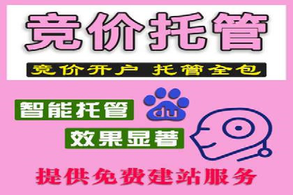 百度推广的SEO优化技巧与实战案例